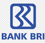logo bri